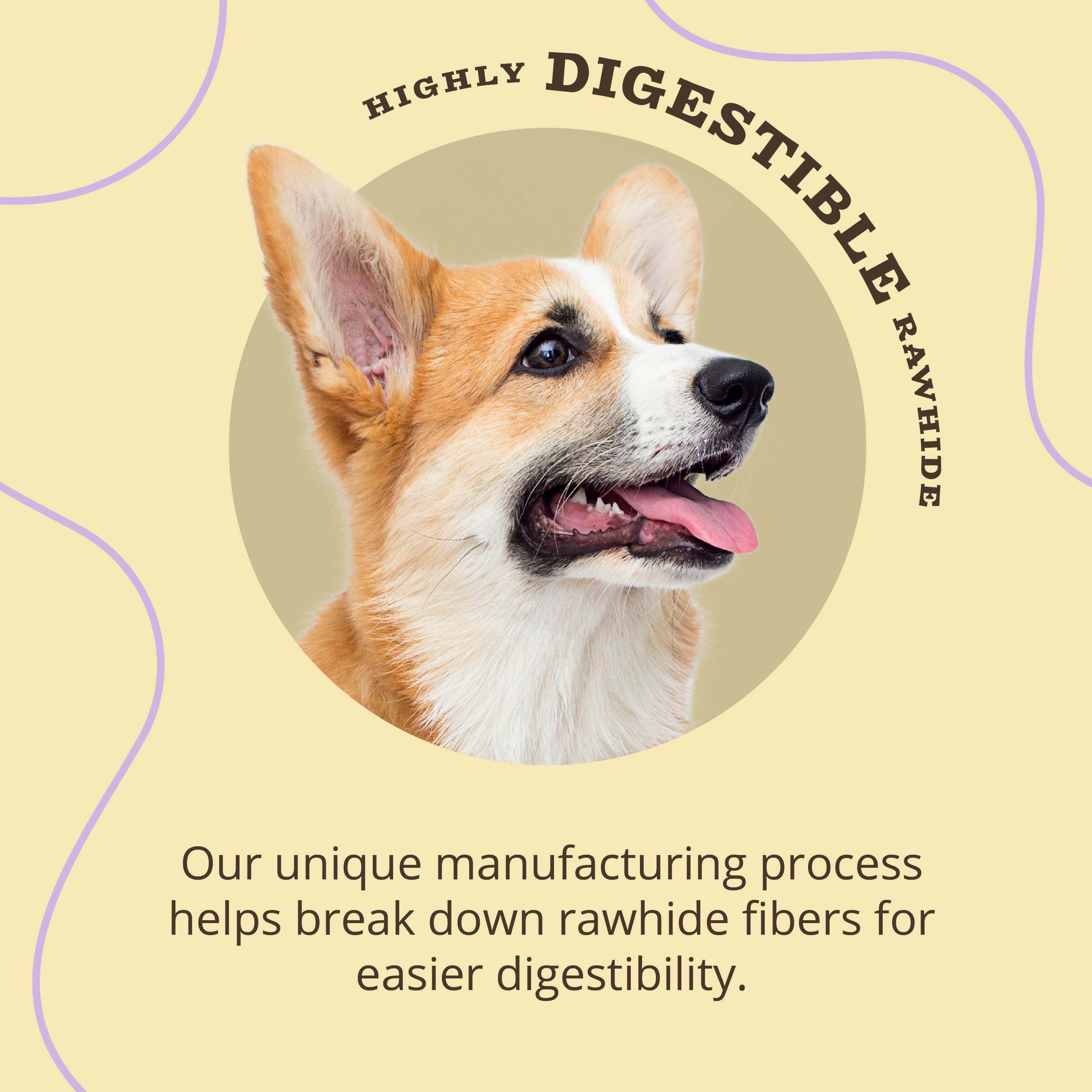 Digestible rawhide 2025 for dogs